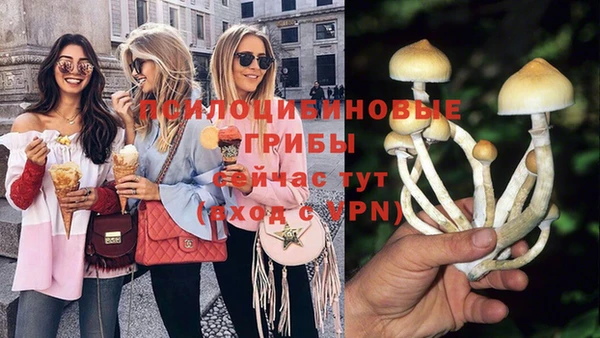 круглые Абаза